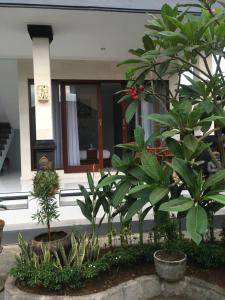 Suntari Homestay外面的花园