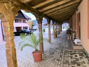 Fotografie z fotogalerie ubytování Pensiunea Sasu v destinaci Şieu