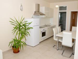 Kuchyňa alebo kuchynka v ubytovaní Apartment in Ljubac with Garden