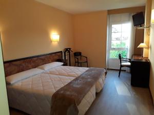 a bedroom with a large bed and a window at Hotel Castro in Santiago de Compostela
