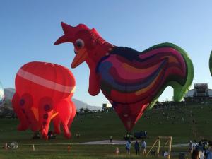 un grupo de globos de aire caliente en un campo en Winnie Homestay, en Longtian