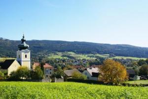 Galeriebild der Unterkunft Frühstückspension Zur Blauen Traube in Yspertal