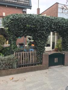 Zahrada ubytování B&B De Duinhoek