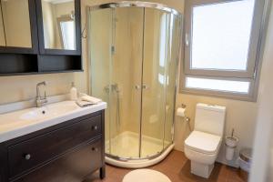 a bathroom with a shower and a toilet and a sink at Villa Rodi in Katastárion +30 photos