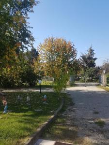 um grupo de crianças brincando na grama perto de uma rua em La Crota B&B em Asti