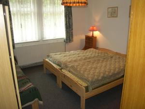Postel nebo postele na pokoji v ubytování Holiday Villa Herlikovice