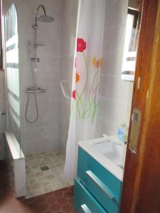 a bathroom with a shower and a sink and a shower curtain at Gîte Habas in Habas
