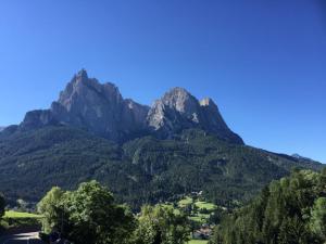 une chaîne de montagnes avec des arbres devant elle dans l'établissement Max 's Siusi Apartement, à Alpe di Siusi