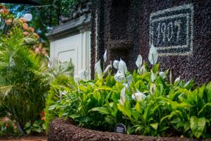 a garden with white flowers in front of a building at ARTS IN Hotel Conde Carvalhal in Funchal