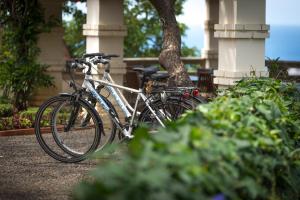 two bikes parked next to a tree in front of a building at ARTS IN Hotel Conde Carvalhal in Funchal
