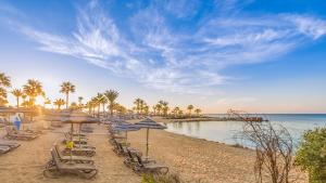 a beach with chairs and umbrellas and the ocean at Adams Beach Hotel & Spa in Ayia Napa