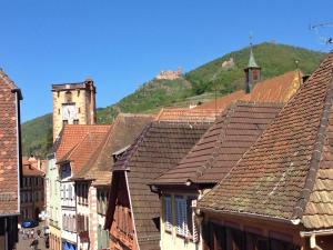 リボーヴィレにあるGîte Au Coeur De Ribeauvilléの時計塔のある建物の屋根の景色