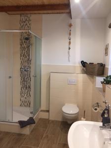 a bathroom with a shower and a toilet and a sink at Gut Fischer in Pomssen