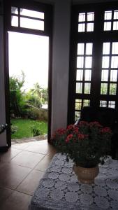 Taman di luar Bethel Rest Homestay