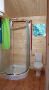 a bathroom with a shower and a toilet at Osada nad Szumem in Józefów