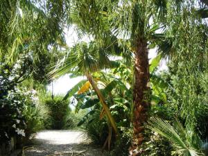Vườn quanh Villa giardino sul mare - Top solarium and garden