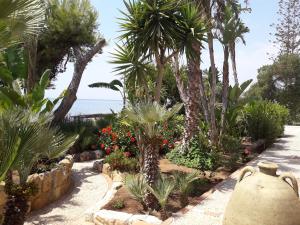 Vườn quanh Villa giardino sul mare - Top solarium and garden