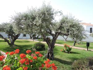 Um jardim em Nerja Villas-Capistrano
