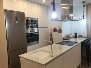 eine Küche mit einer Spüle und einem Kühlschrank in der Unterkunft Apartamento en pleno centro de Salamanca !!! in Salamanca