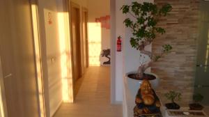 Fotografie z fotogalerie ubytování Bonsai Bed & Breakfast v destinaci Fiumicino