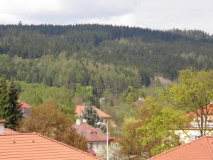 a view of a mountain with trees and houses at Apartments Meixner in Mariánské Lázně
