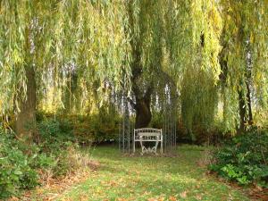 a bench sitting under a weeping willow tree at Biznis Hotel in Lokeren
