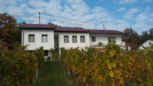 a white house with a red roof and vines at Ferienhaus Szapary II in Eisenberg an der Pinka