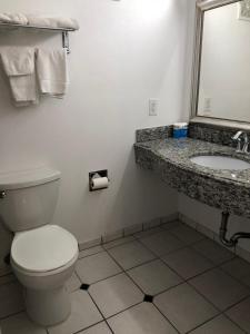 La salle de bains est pourvue de toilettes et d'un lavabo. dans l'établissement All Seasons Lodge, à South San Francisco