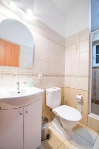 a bathroom with a toilet and a sink and a mirror at Penzion Forest in Rozvadov