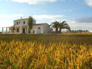 a house in the middle of a field at Mas dels Bonos in Deltebre
