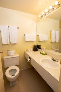 a bathroom with a toilet and a sink and a mirror at Keystone Motor Inn in Brandon