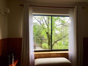 a window with a view of a tree at Departamento Pucón in Pucón