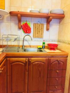 Η κουζίνα ή μικρή κουζίνα στο Departamento Pucón