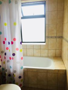 Ένα μπάνιο στο Departamento Pucón +14 φωτογραφίες