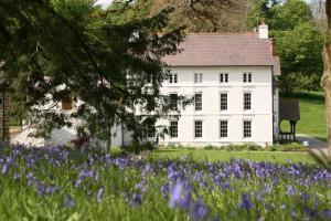 a white house with purple flowers in front of it at Grove of Narberth in Narberth