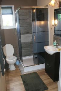 a bathroom with a shower and a toilet and a sink at Agrodomki Okej -Dom Koko in Gardna Wielka