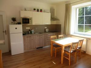 Η κουζίνα ή μικρή κουζίνα στο Apartmán u Javoru