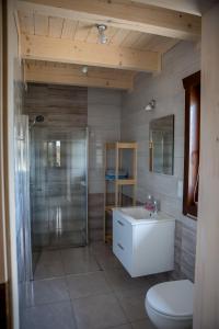 a bathroom with a shower and a toilet and a sink at Na Dworosku in Golczowice