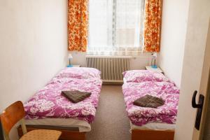 um pequeno quarto com 2 camas e uma janela em Family House Moravsky Kras em Vilémovice