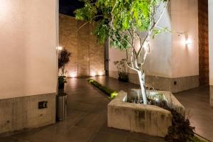 a hallway with a tree in a planter with lights at Marialicia Suites, Hotel Boutique in Oaxaca City