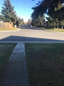 a street with a sidewalk and a road with trees at Ranny's Private Rooms in Calgary +13 photos