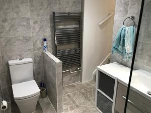 ロンドンにあるSt Julian’s Road Apartmentのバスルーム(トイレ、洗面台、シャワー付)