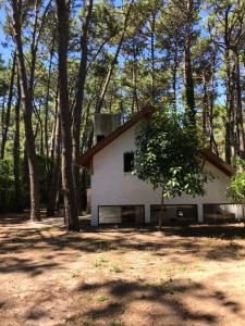 una casa blanca en el bosque con árboles en Casa verde en Mar de las Pampas