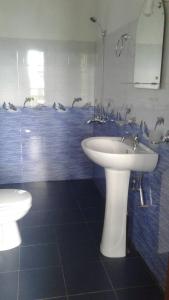 A bathroom at Sun View Resort Kithalella