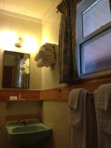 Hopewell Rocks Motel & Country Inn tesisinde bir banyo