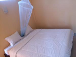1 dormitorio con 1 cama con cortina en Antoneri Lodge, en Kelimutu