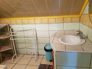 a bathroom with a sink and a shelf at Le Moutardier in Cilaos
