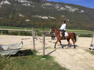 a woman riding a horse around a fence at Chez Dodo 2534 Orvin Le Foncet in Evilard
