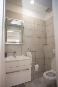 ein Bad mit einem Waschbecken und einem WC in der Unterkunft Villa Zrinka **** in Svinišće