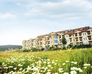 a field of flowers in front of a building at Hotel Hochsauerland by Center Parcs in Medebach